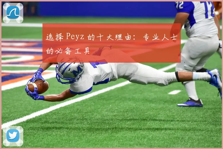 选择 Peyz 的十大理由：专业人士的必备工具