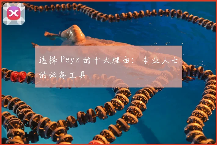 选择 Peyz 的十大理由：专业人士的必备工具