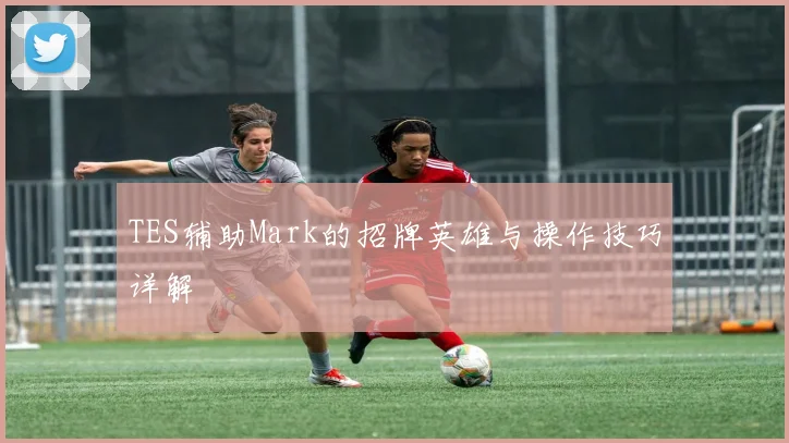 TES辅助Mark的招牌英雄与操作技巧详解